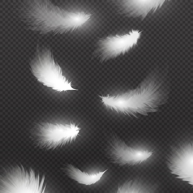 Cayendo plumas blancas realistas aisladas en transparente. pluma abajo cayendo, esponjosa blanca