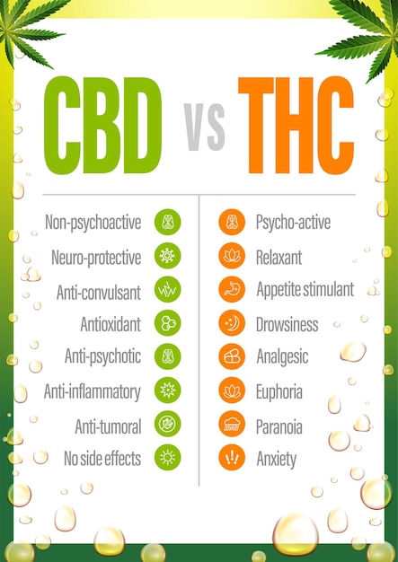 Cbd vs thc, póster con comparación de cbd y thc