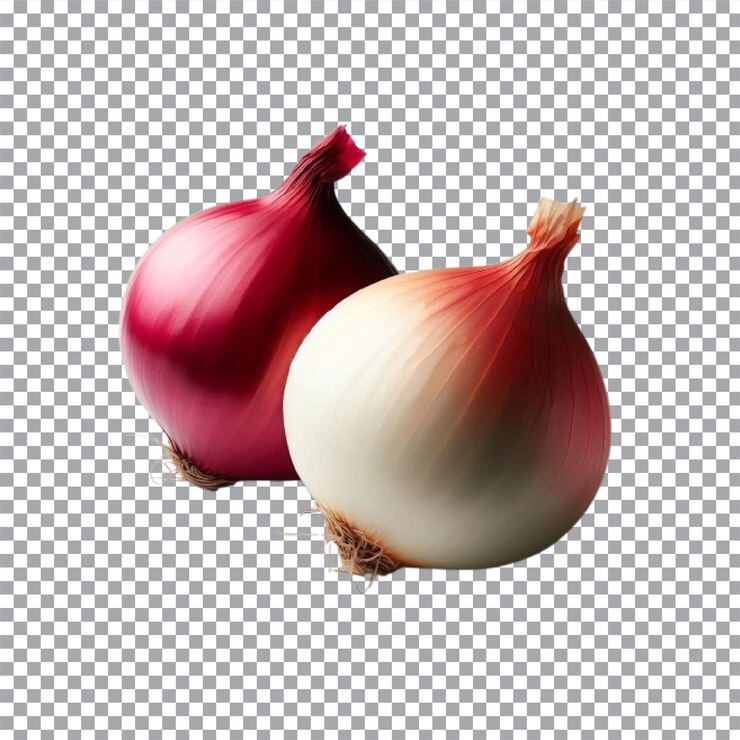 Vector cebolla fresca con rebanada aislada sobre un fondo transparente