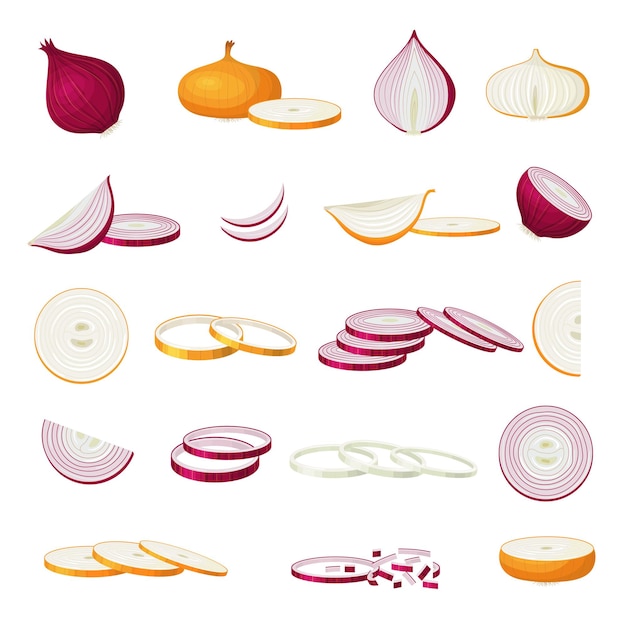 Vector cebolla fresca en rodajas púrpura alimentos naturales productos de corte saludable vitamina reciente conjunto de ilustraciones vectoriales