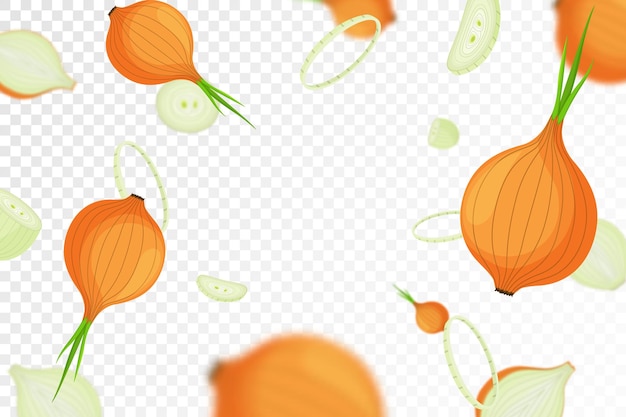 Cebolla que cae aislada sobre fondo transparente Cebolla voladora entera y en rodajas con efecto borroso Se puede utilizar para publicidad de embalaje banner cartel impresión vector diseño plano