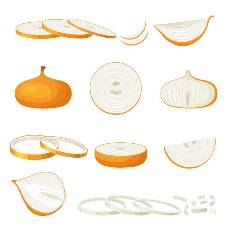 Vector cebolla en rodajas comida natural saludable cortando verduras frescas reciente vector de dibujos animados cebolla morada aislada