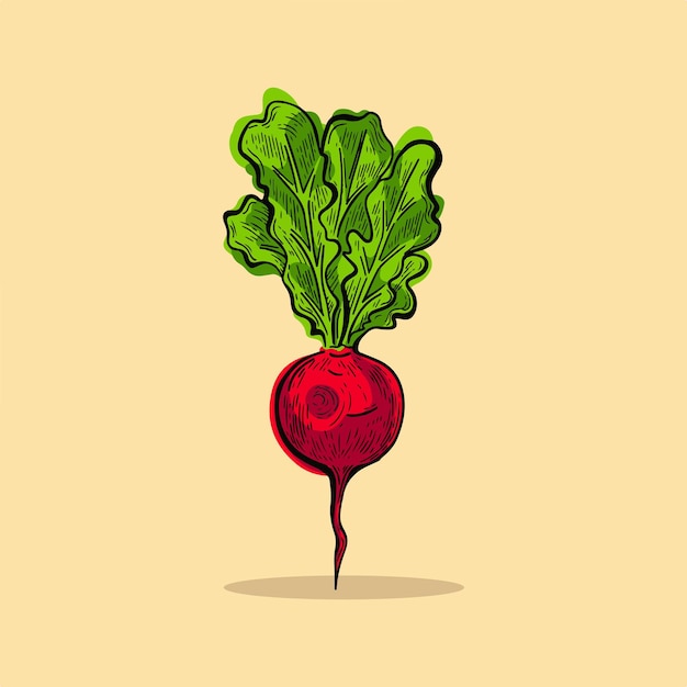 Vector cebolla roja vegetal dibujos animados vector icono ilustración comida naturaleza icono concepto diseño plano premium