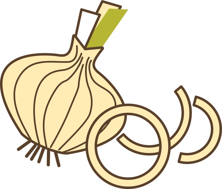 Vector cebolla vegetal y dos anillos de cebolla en line art sketch doodle style