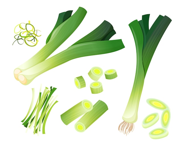 cebolla verde japonesa o cebolla barro