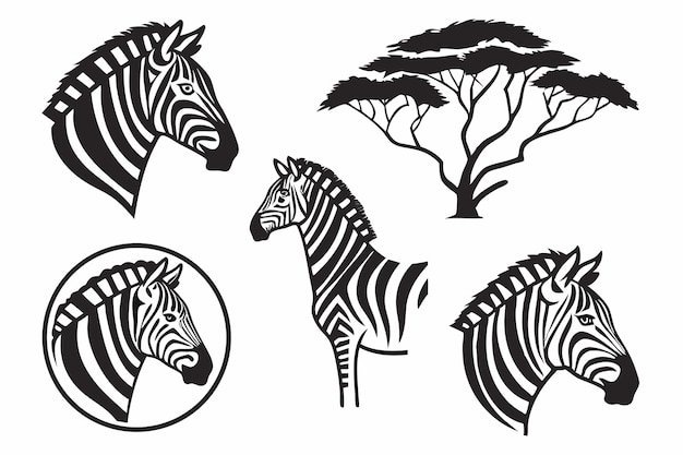 Las cebras y las siluetas de los árboles africanos