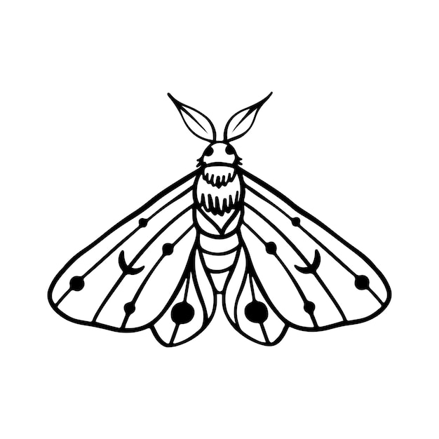 Celestial Butterfly Doodle Ilustración dibujada a mano hermoso arte de líneas tatuaje de mariposa