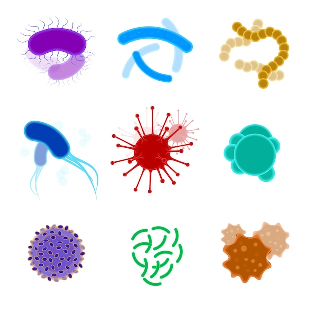 Célula, macrocélula microscópica, bacteria, virus. Conjunto de microorganismos objetos que causan enfermedades, diferentes tipos, bacterias, virus, hongos, protozoos Ilustración vectorial