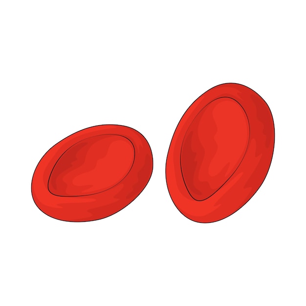 las células rojas de la sangre