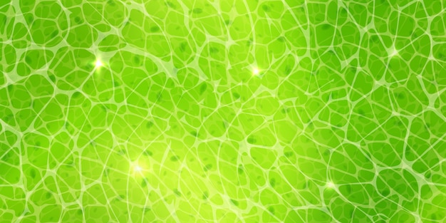Vector células vegetales verdes con textura nuclear bajo un microscopio o un patrón abstracto sin fisuras