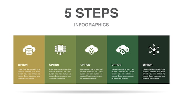 Centro de datos de almacenamiento en la nube nube privada saas iconos de proveedores de servicios plantilla de diseño de diseño infográfico concepto de presentación creativa con 5 pasos