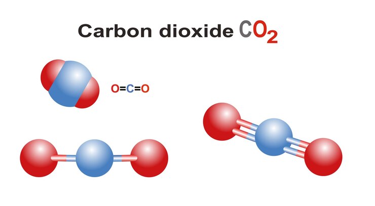 Vector centro de enseñanza de ciencias de dióxido de carbono co2