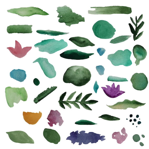 cepillos