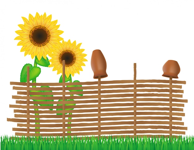 Cerca de mimbre de ramitas con girasoles ilustración vectorial