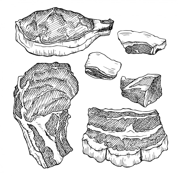 Cerdo. croquis dibujados a mano de carne aislado en un blanco. ilustración de comida