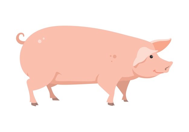 Cerdo de dibujos animados, vector