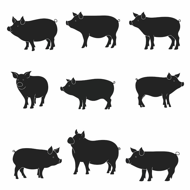 un cerdo con el número 6 en él
