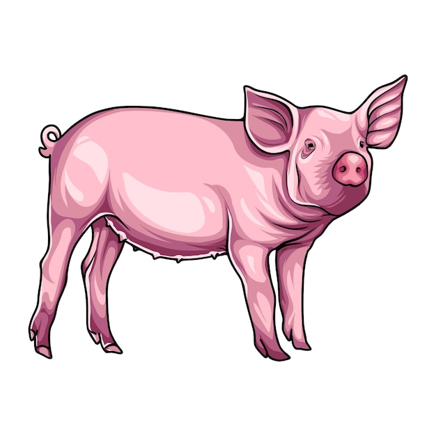 CERDO ROSA CON ARTE VECTORIAL