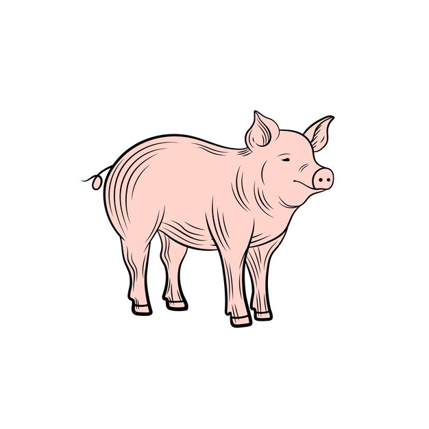 Cerdo vectorial aislado sobre fondo blanco ilustración de estilo de grabado de rosa animal de granja
