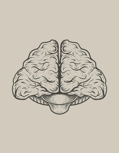 Cerebro antiguo de ilustración con estilo de grabado