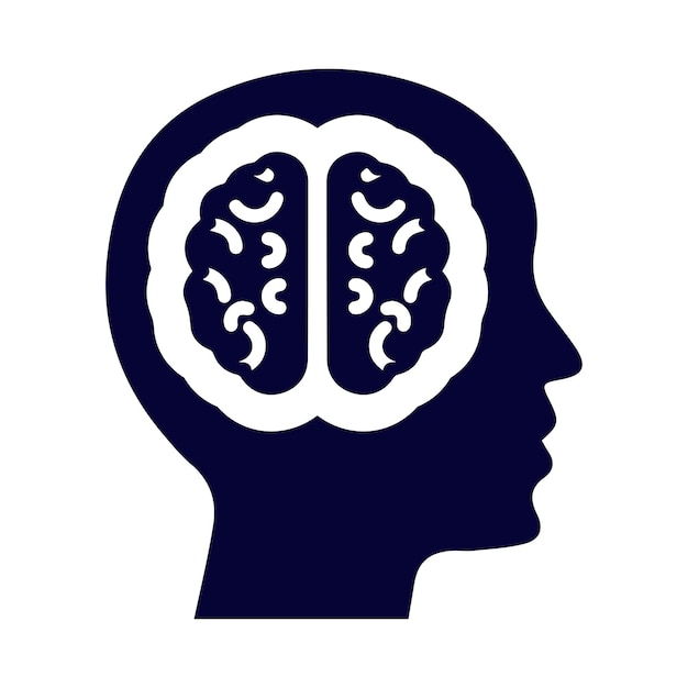 El cerebro, la cabeza, el cerebro humano, la idea, la innovación, la investigación cerebral, la creatividad, el icono del cerebro humano.