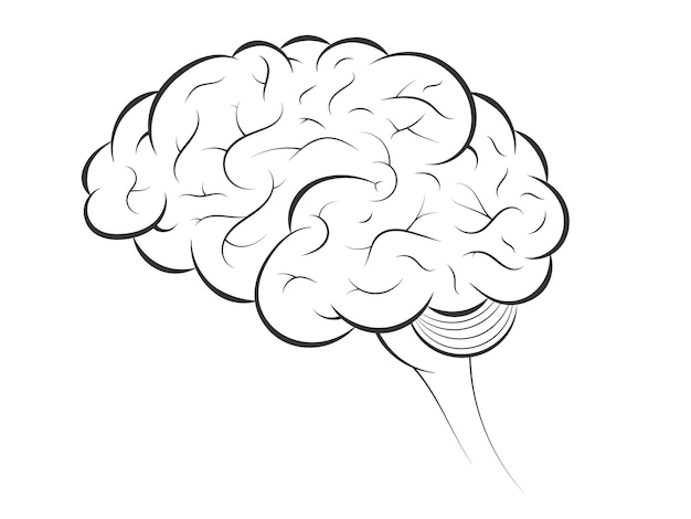 Cerebro humano Anatomía de órganos internos Ilustración de icono monocromo vectorial aislada en gráficos de fondo blanco