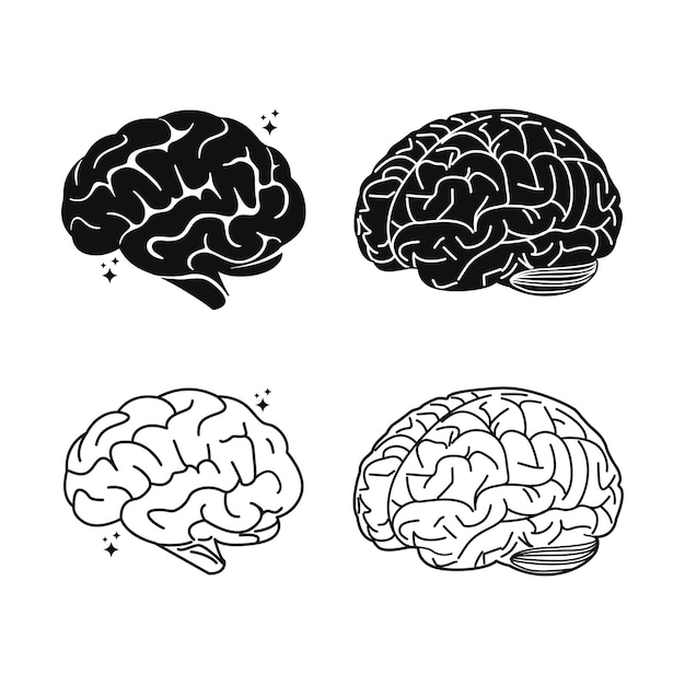 El cerebro humano artes del cerebro en blanco y negro