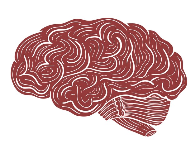 cerebro humano dibujado a mano grabado vector de dibujo de boceto