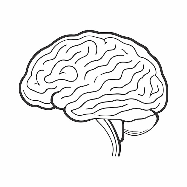 Cerebro humano esbozado ilustración vectorial