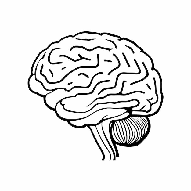 Cerebro humano esbozado ilustración vectorial