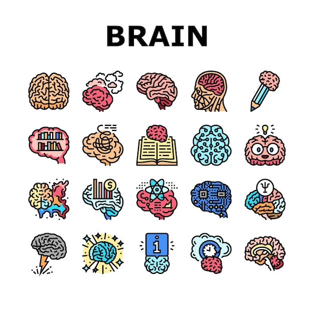 cerebro, mente humana, cabeza, idea, iconos, conjunto, vector