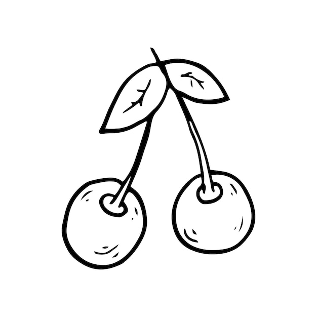 Cereza dulce en estilo de línea Dibujo a mano aislado baya vector ilustración Doodle esquema simple