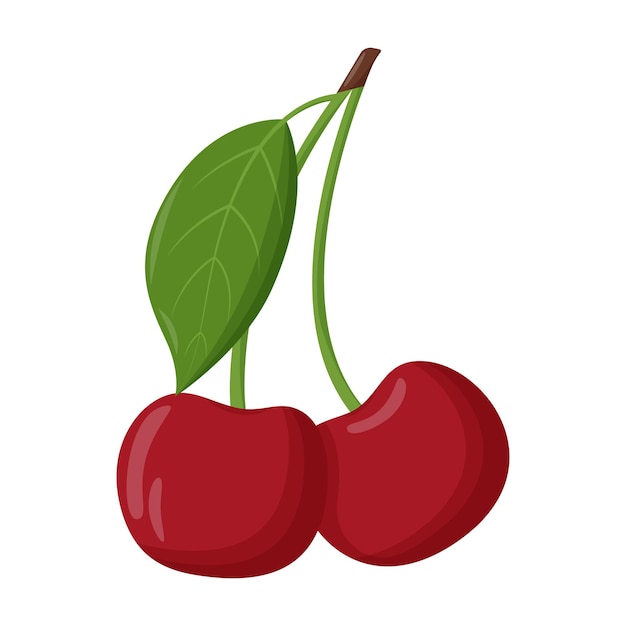 Cereza roja entera con hoja verde aislada sobre fondo blanco ilustración vectorial plana