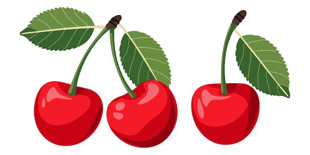 Cerezas y racimos maduros de dibujos animados