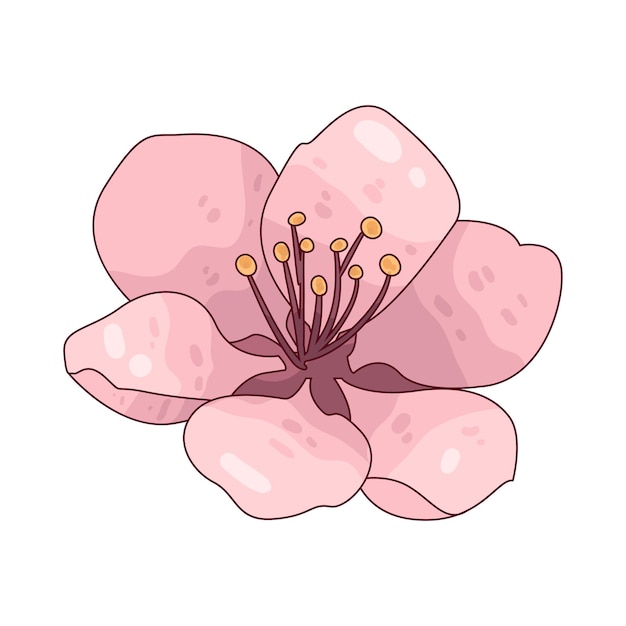 Cerezo en Flor