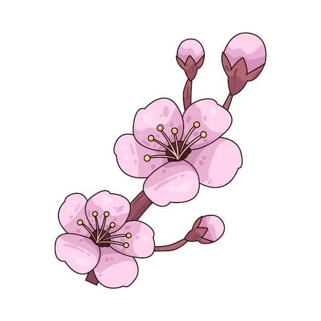Cerezo en Flor