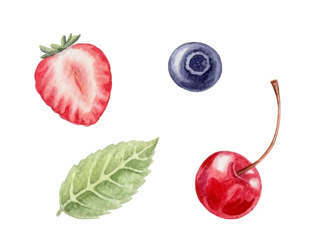 Cerezo fresa arándano y hoja de menta Conjunto de pequeñas bayas acuarela vector pintado a mano