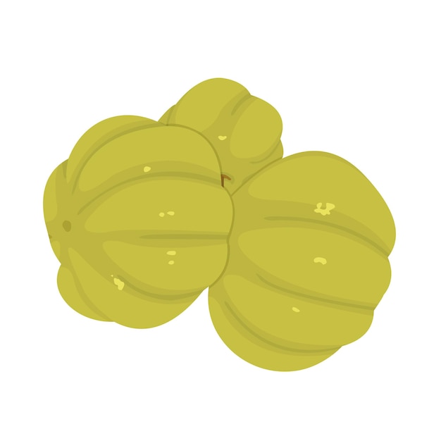 Cermai Fruit Vector diseño plano gráfico 2d HD