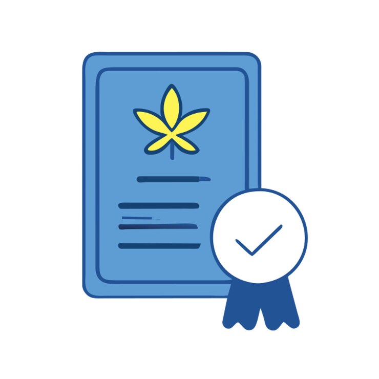 Vector certificado thc icono contorno de colores