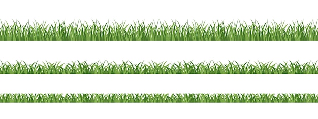Césped sin costuras. Elementos para el diseño de primavera, marcos, decoración.