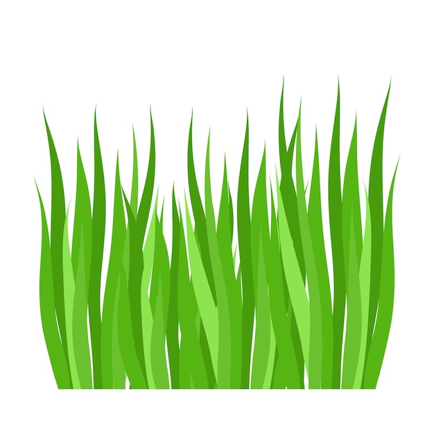 Césped verde para el paisaje de jardín natural Ecología botánica ecológica