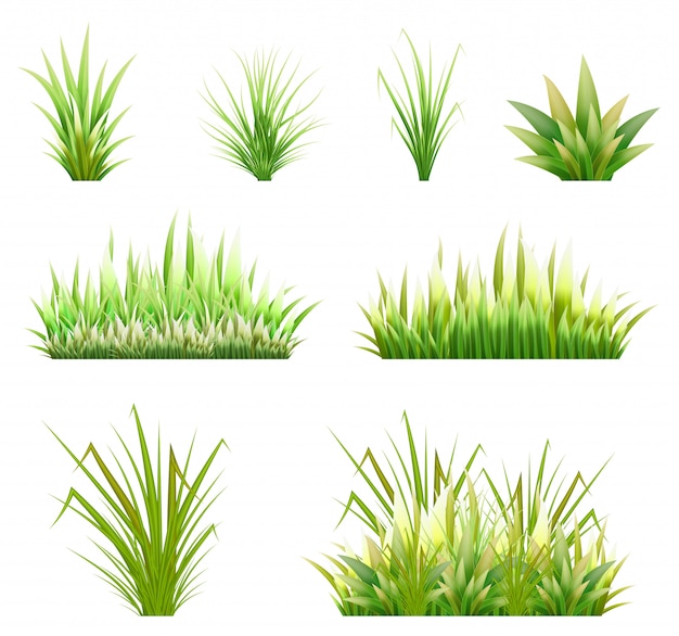 césped verde