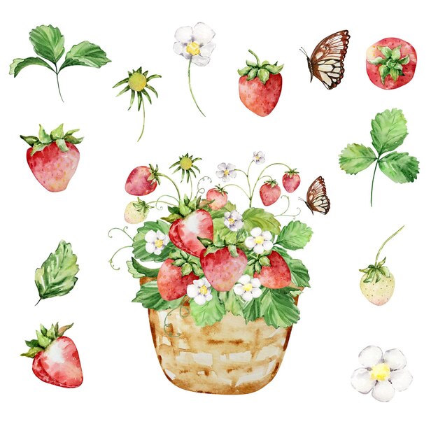Cesta de acuarela con fresa y mariposa