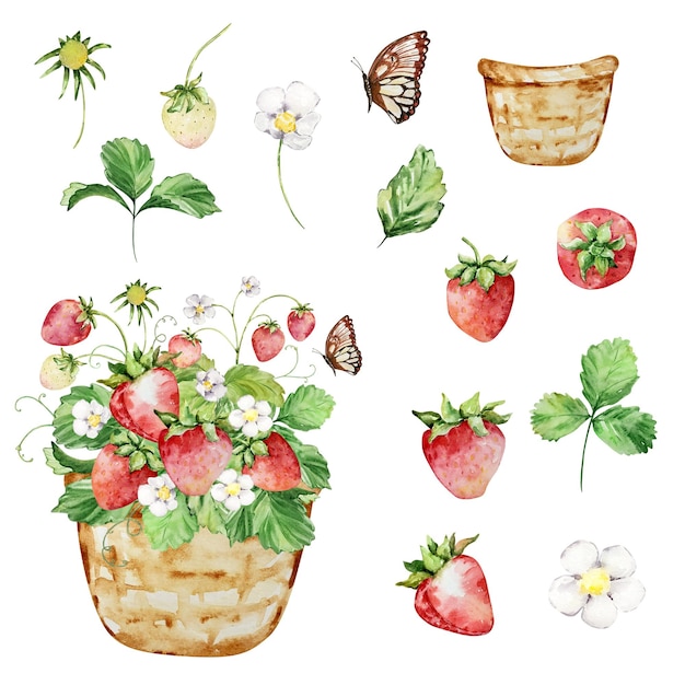 Cesta de acuarela con fresa y mariposa