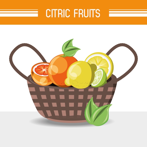 cesta con frutas cítricas