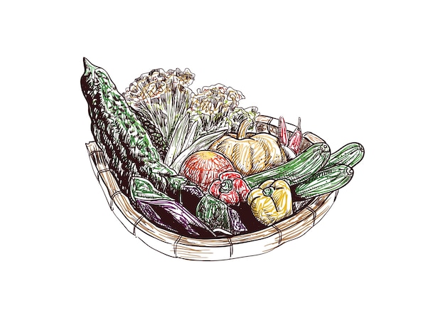 cesta de verduras tomates chile berenjena calabaza amarga y calabaza