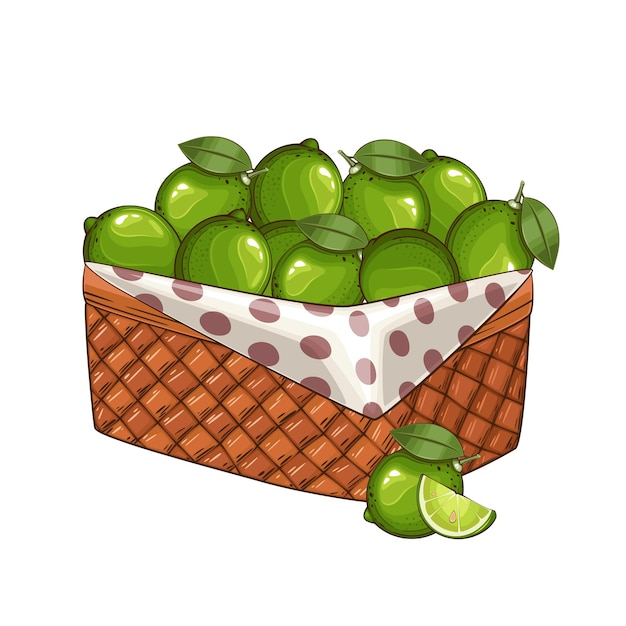 Cesto de cal Cesto de frutas Ilustración vectorial Concepto de diseño orgánico Dibujado a mano Frutas vectoriales