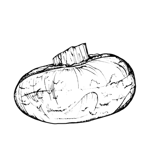 Champignon hongo dibujado a mano gráficos en blanco y negro convertidos en vectorial Ilustración aislada para imprimir en tela impresiones de envases pegatinas carteles tarjetas