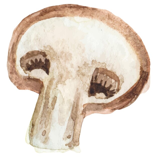 Champignon pintado en acuarela, elemento de diseño de alimentos frescos dibujado a mano aislado sobre un fondo blanco