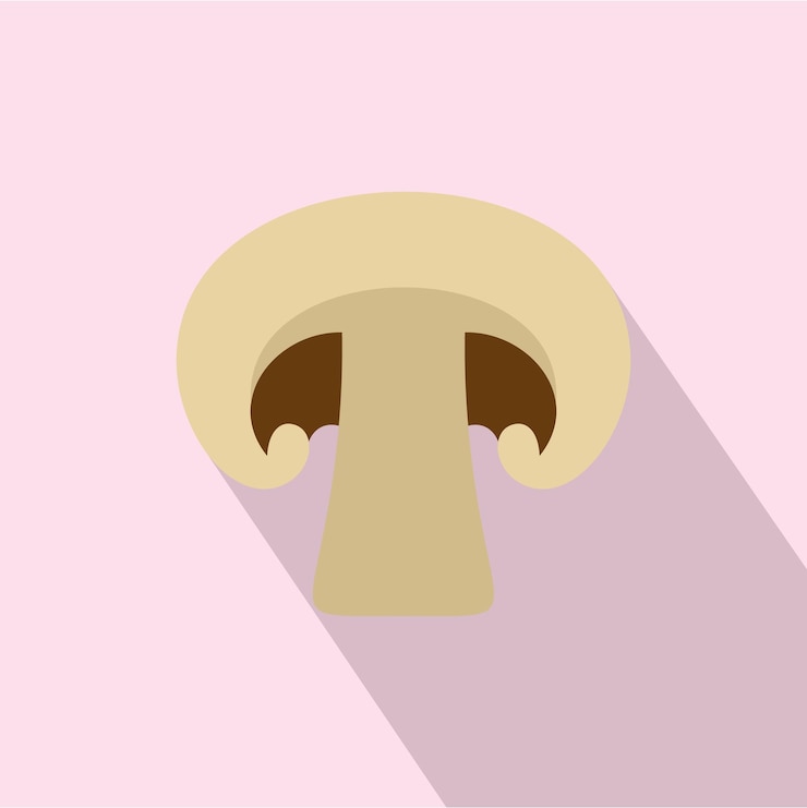 Vector champiñón con icono de sombra ilustración plana de champiñón con icono de vector de sombra para diseño web